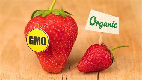 gmos are better quality